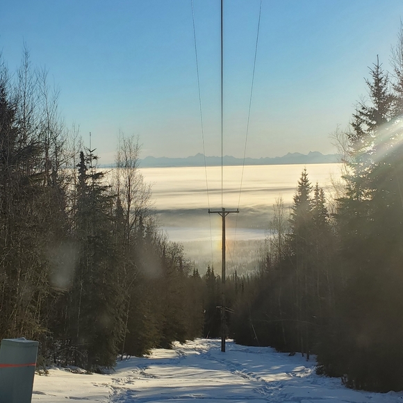 Meet your Posher, Chad - Picture 5 of 5